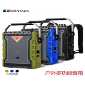 金正（NINTAUS）N6-1户外...