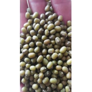 绿豆 500g
