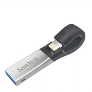 闪迪(Sandisk)SDIX30N...