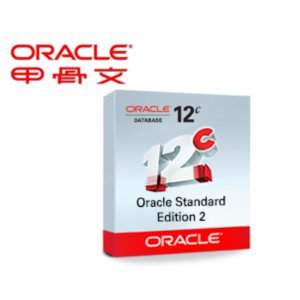 Oracle 11g/12C 标准2...