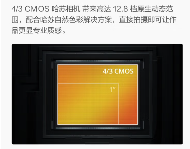 图片13.png