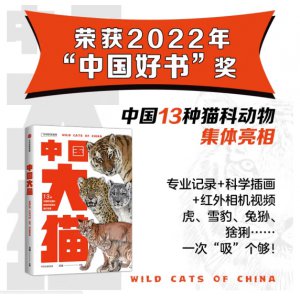 中国大猫