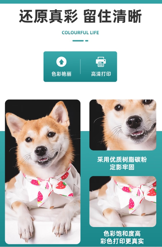 微信截图_20241029093600.png