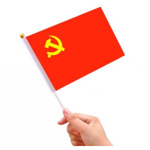 手持党旗