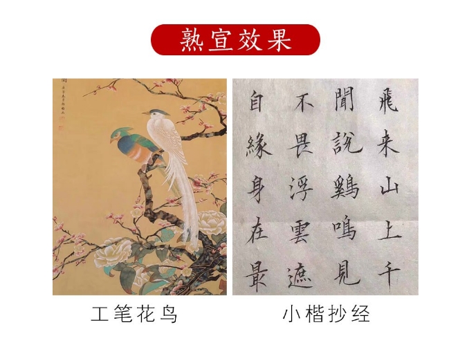 微信截图_20241011102235.png