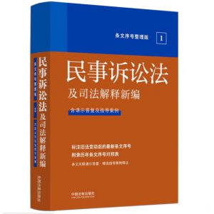 民事诉讼法及司法解释...