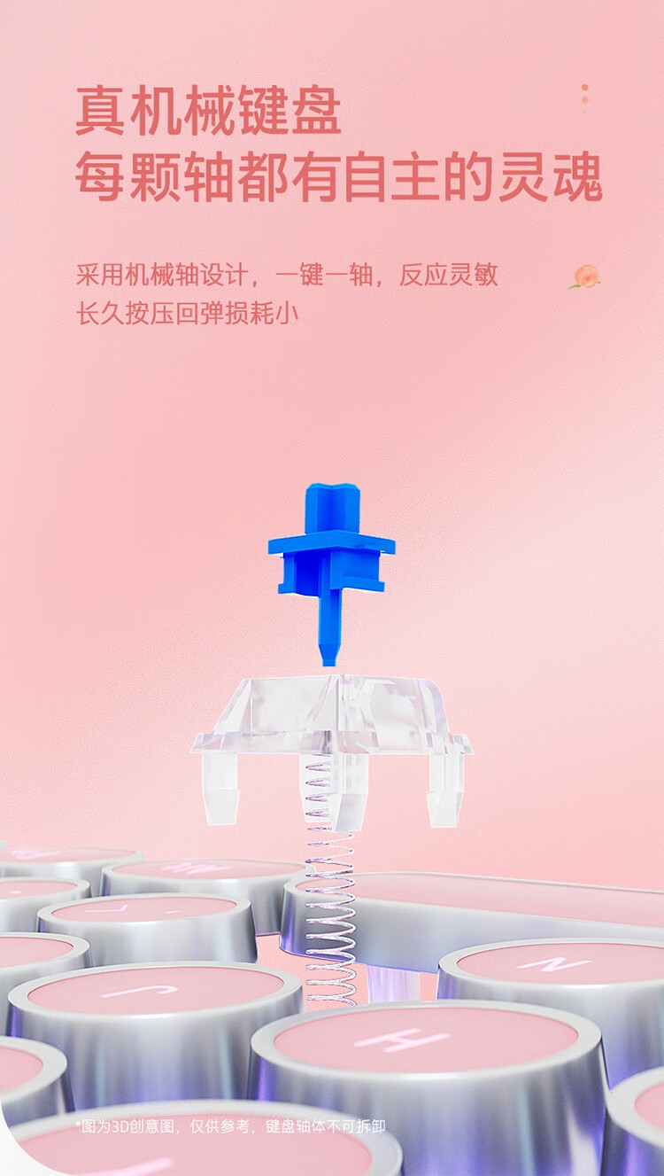 00.jpg