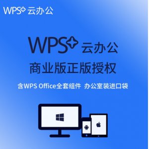 办公软件（政府版 ）